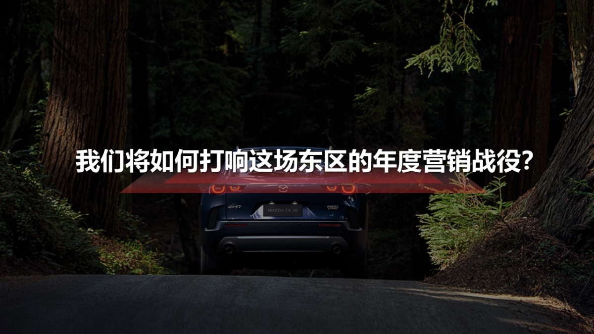 汽车品牌长安马自达CX50营销策略方案_第6页