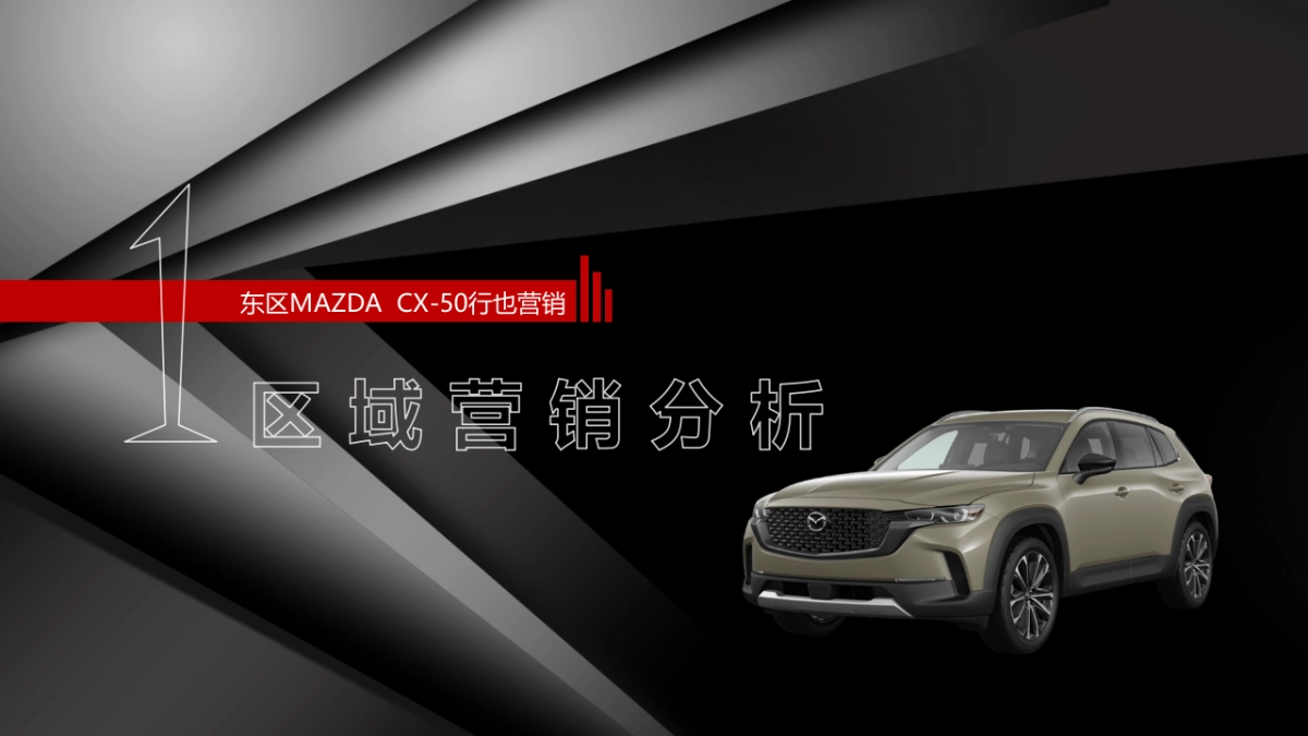 汽车品牌长安马自达CX50营销策略方案_第8页