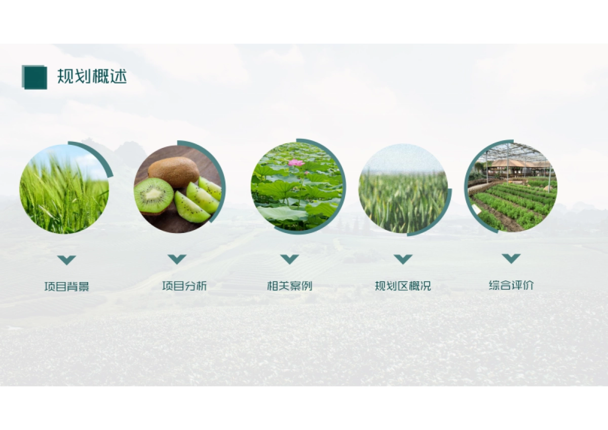 中原地区某县“果色添香”果园乡村农业产业规划设计概念方案_第4页