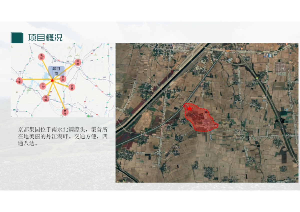 中原地区某县“果色添香”果园乡村农业产业规划设计概念方案_第6页