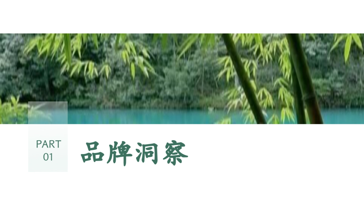 2024贵州文旅5A级景区荔波小七孔抖音运营方案_第3页