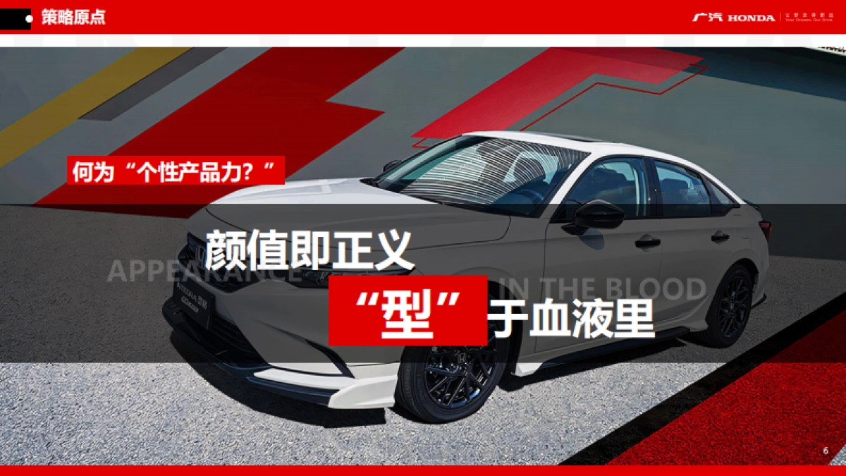 广汽本田品牌年度公关活动项目_第6页