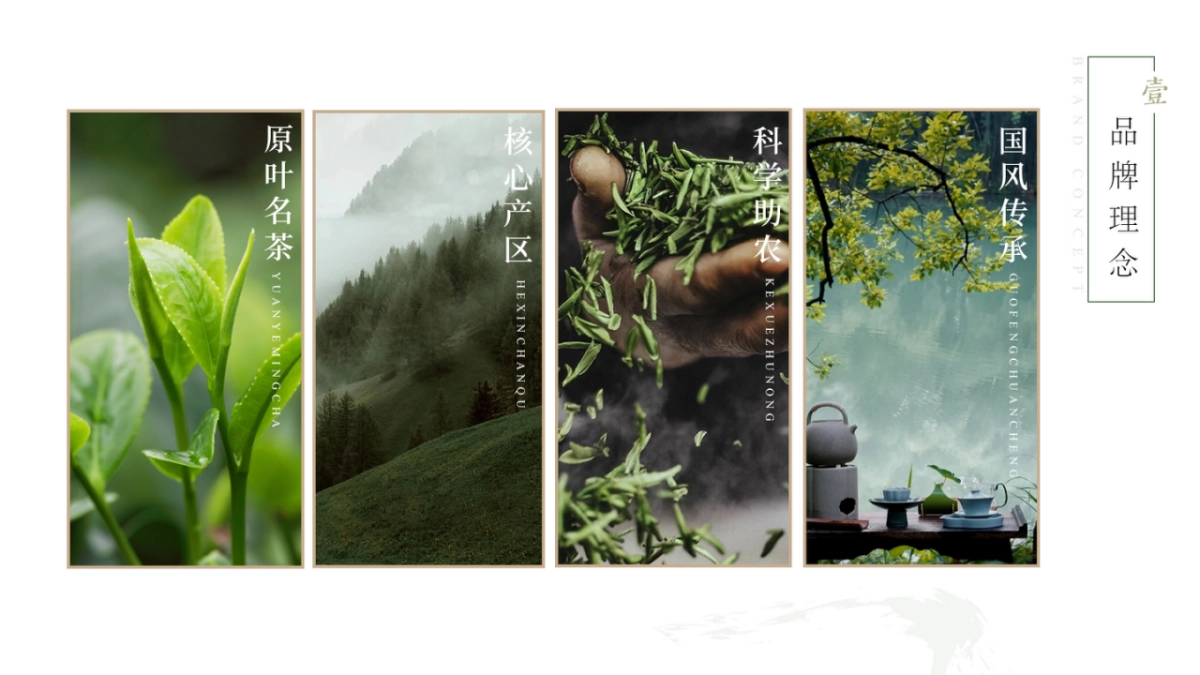 2025茶小开茶本味产品手册_第5页