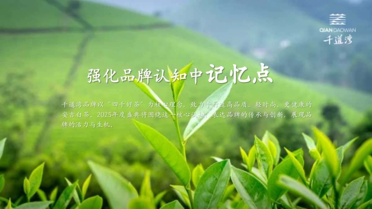2025千道湾品牌盛典暨安吉白茶茶叶新品发布会活动策划案_第4页