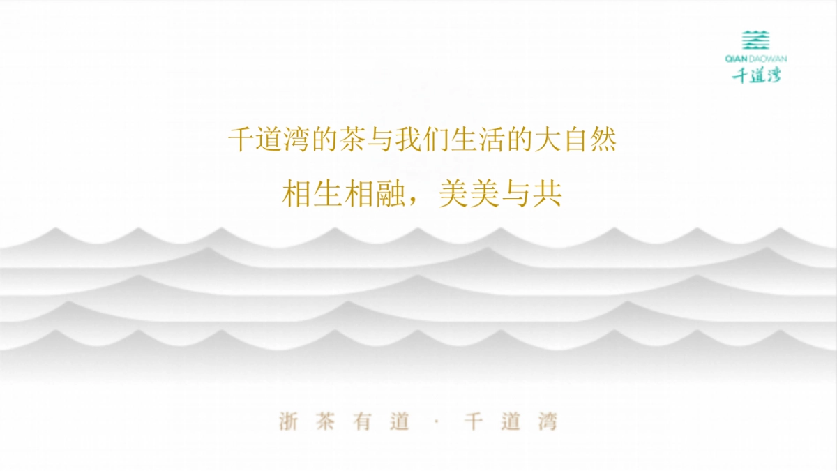 2025千道湾品牌盛典暨安吉白茶茶叶新品发布会活动策划案_第9页