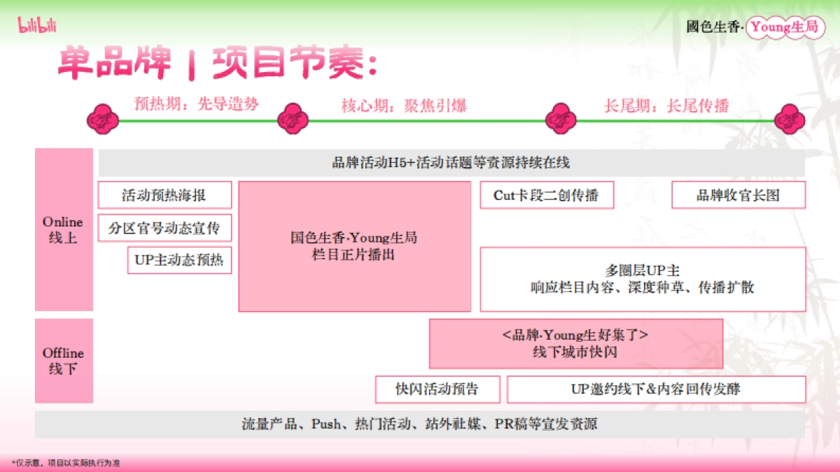 2025《国色生香·Young生局》招商方案_第10页