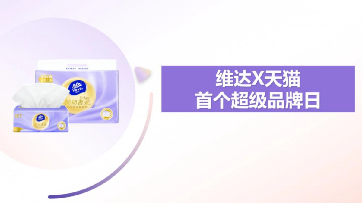 维达棉韧奢柔新品上市项目总结_第5页