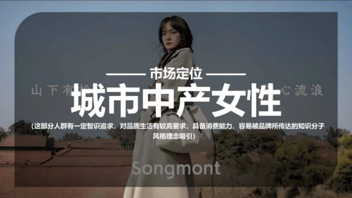 山下有松Songmont品牌方案_第3页