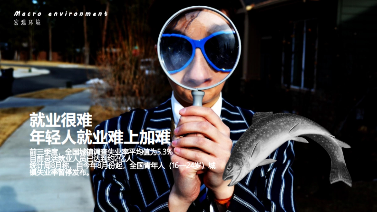 微果投影仪品牌年度传播方案_第5页