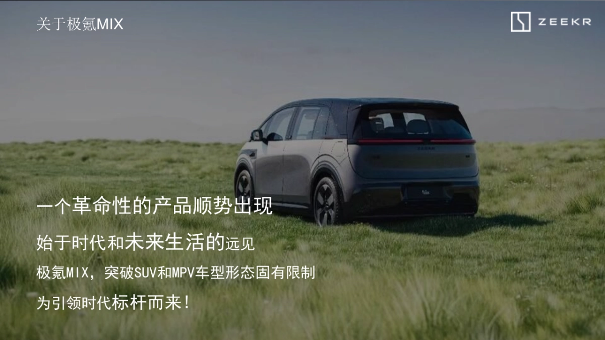 新能源汽车极氪华中区域营销活动代理招标项目技术方案-_第4页