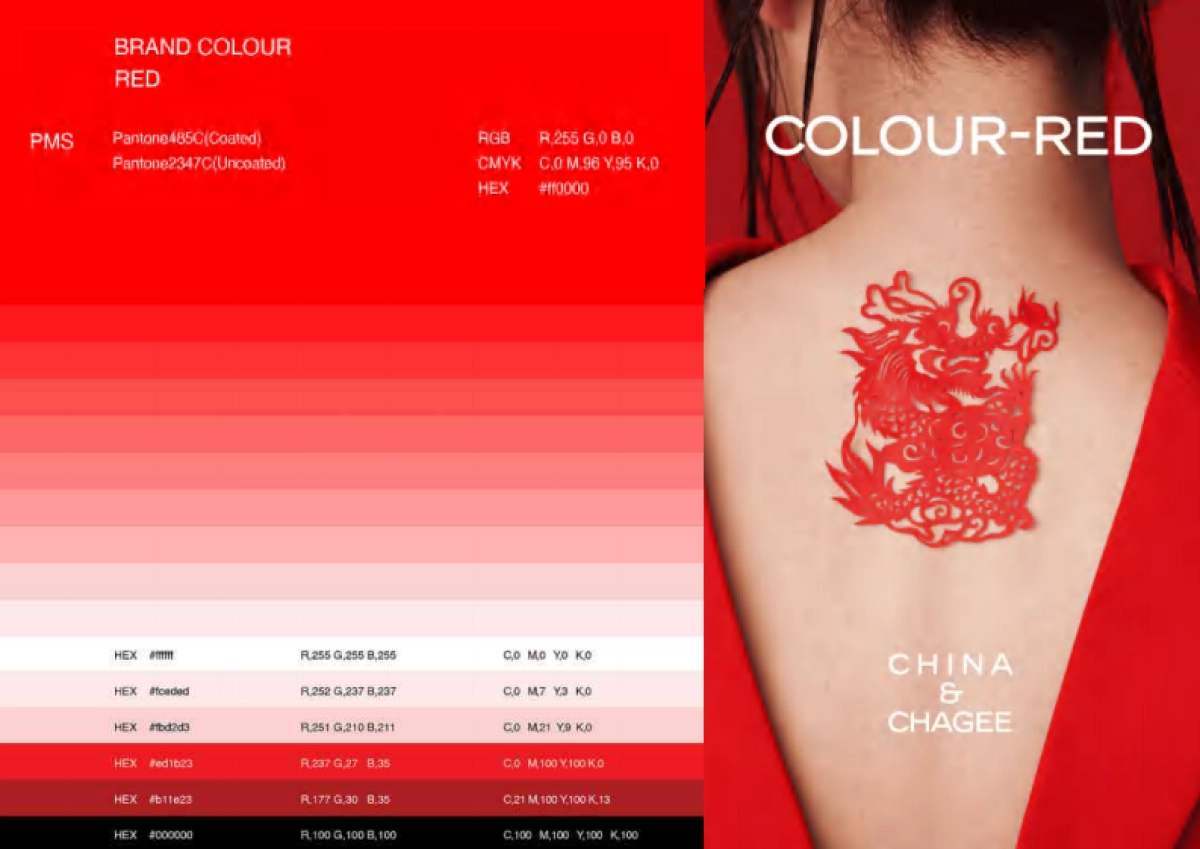 霸王茶姬CHAGEE品牌资料全收录-_第6页