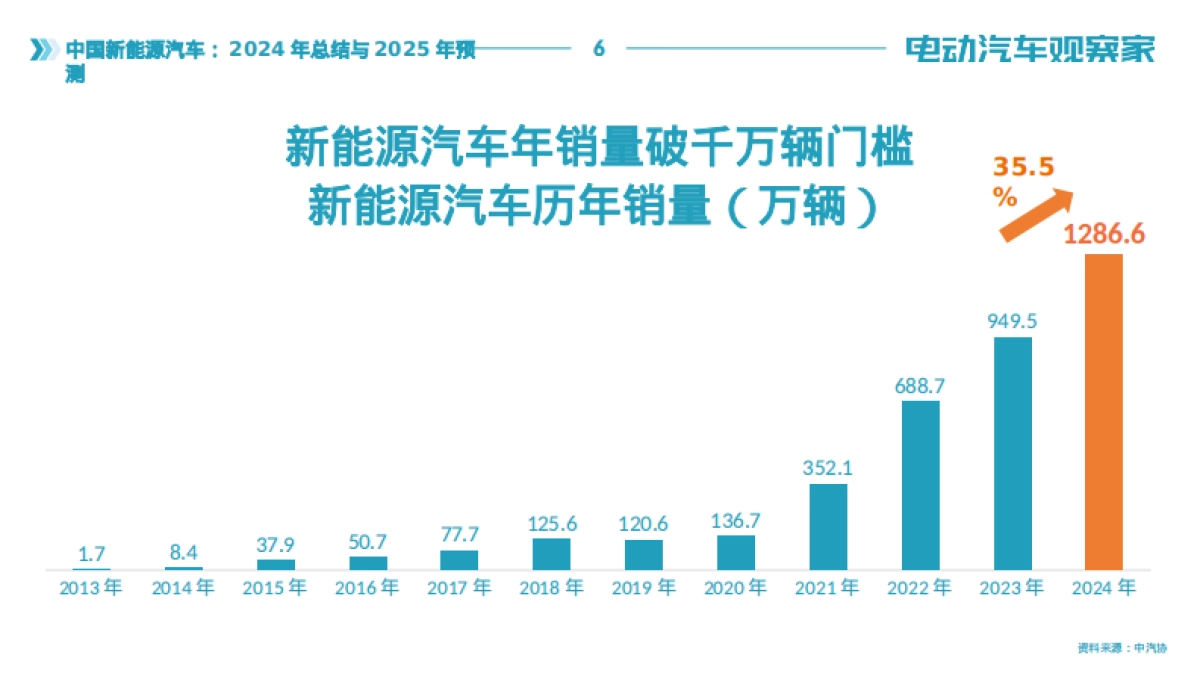 中国新能源汽车：2024年总结与2025年趋势报告_第6页