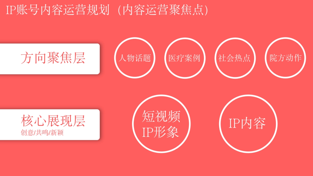 2024张洁医生IP账号短视频运营规划案_第10页