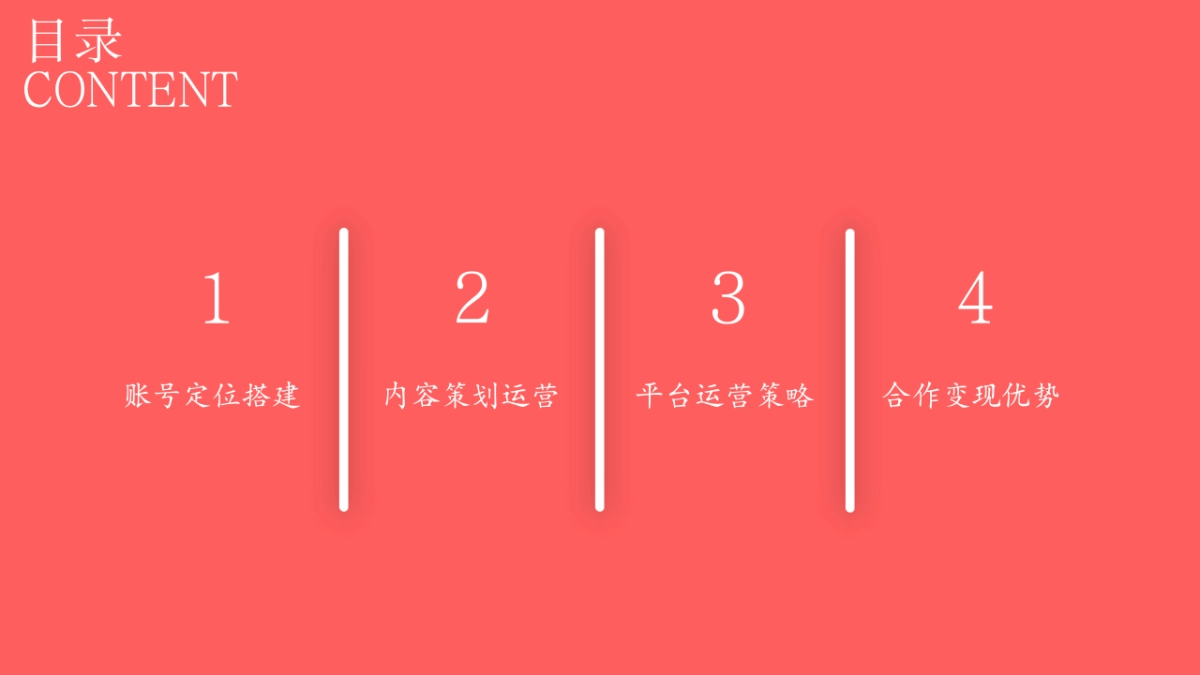 2024张洁医生IP账号短视频运营规划案_第2页