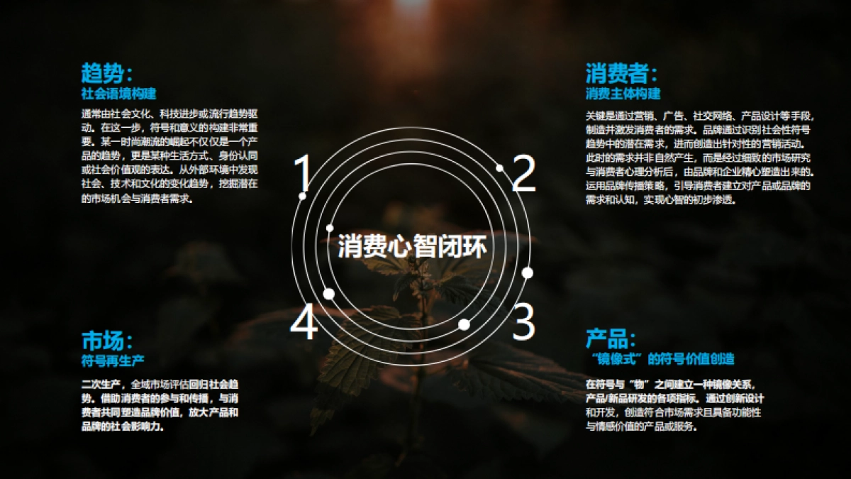 2024春雷社化妆品开发者大会——从全球新品趋势，洞察2025消费机会点_第3页