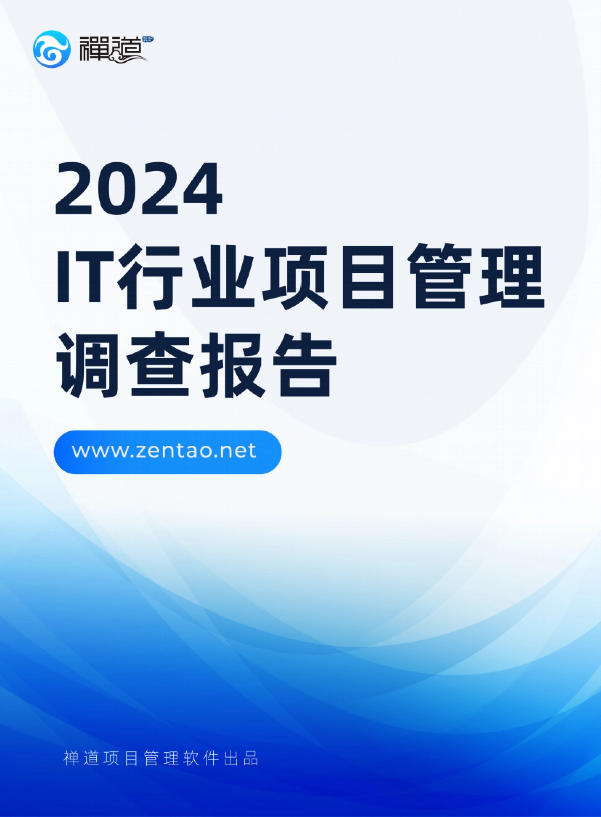 2024年IT行业项目管理调查报告_第1页
