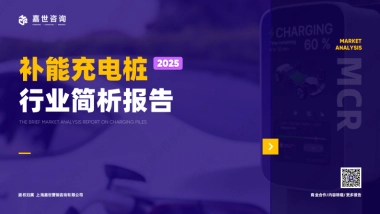 2025年充电桩行业简析报告