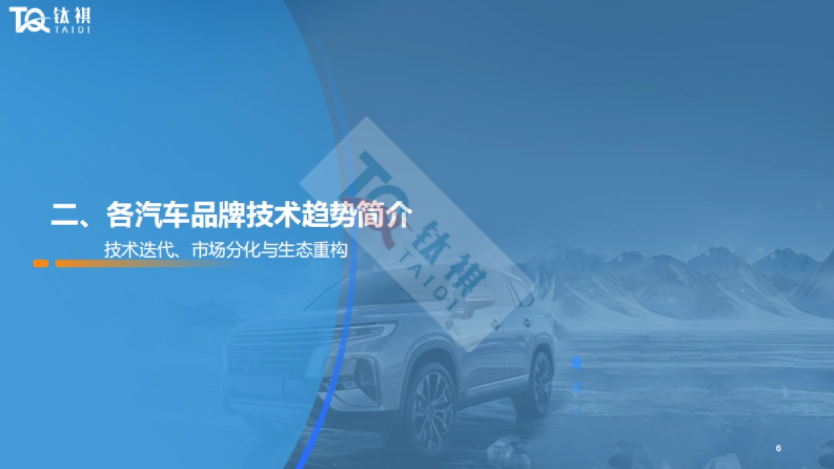 2025年上海车展分析报告_第6页