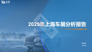 2025年上海车展分析报告