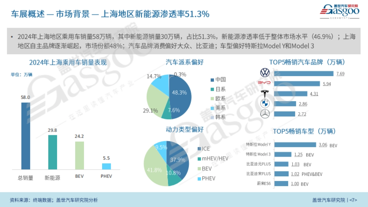 2025上海国际车展展前报告_第7页
