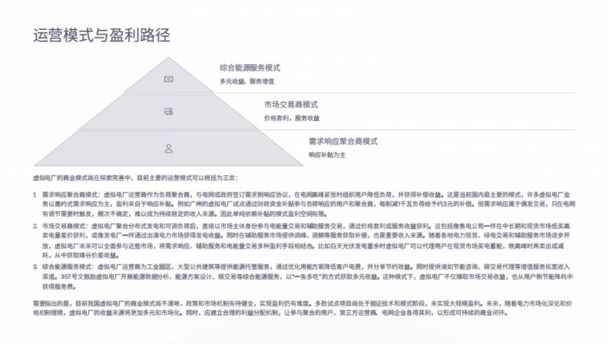 2025虚拟电厂生存与发展研究报告_第10页