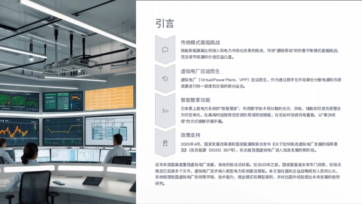 2025虚拟电厂生存与发展研究报告_第4页