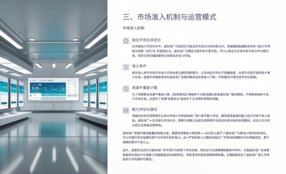 2025虚拟电厂生存与发展研究报告_第9页