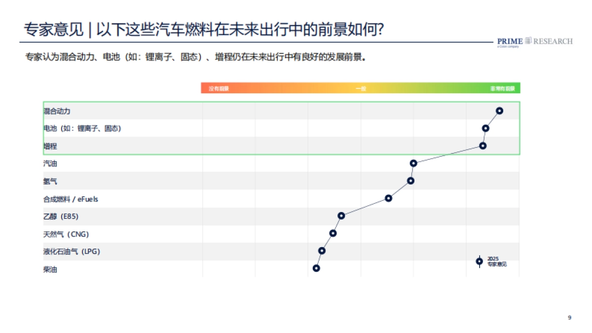 2025中国汽车行业趋势报告_第9页