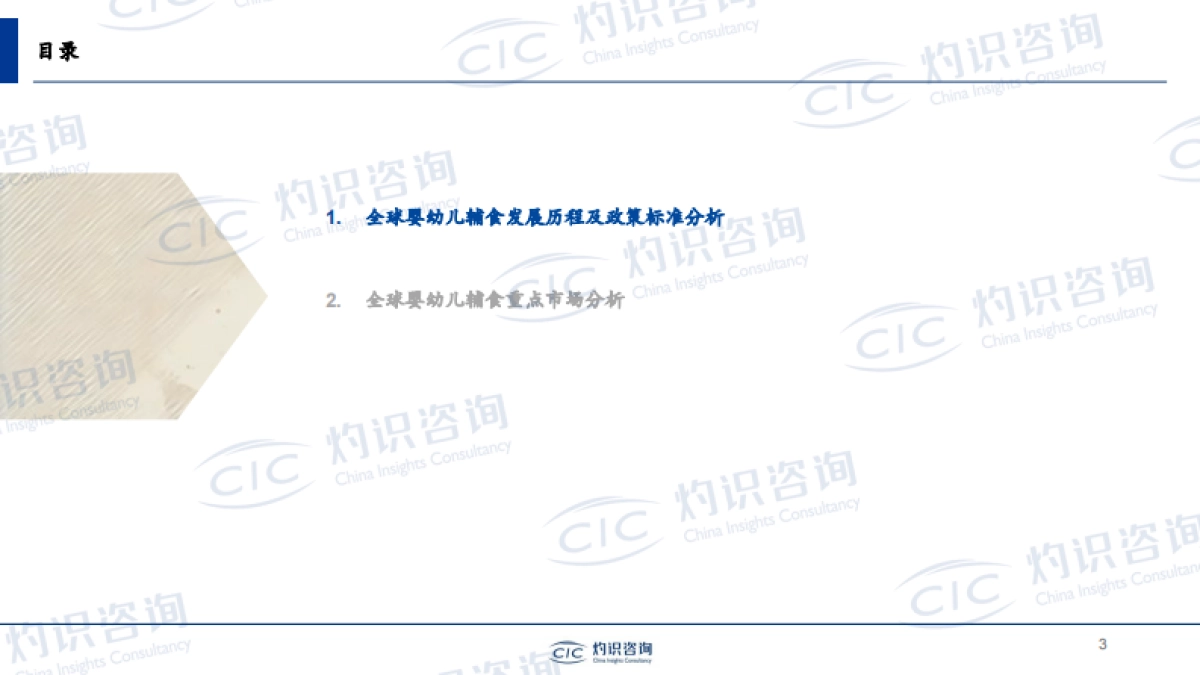 全球及中国婴幼儿辅食行业蓝皮书_第3页