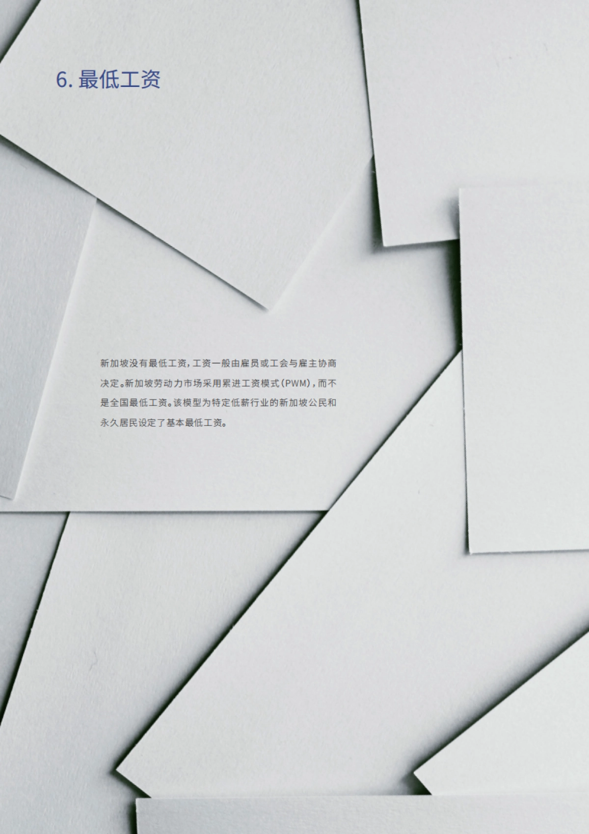 新加坡出海手册-BIPO_第10页