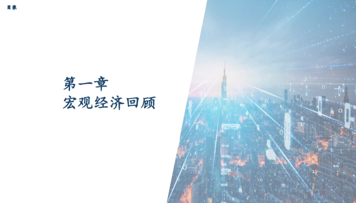 2025年辣条行业发展趋势报告_第3页