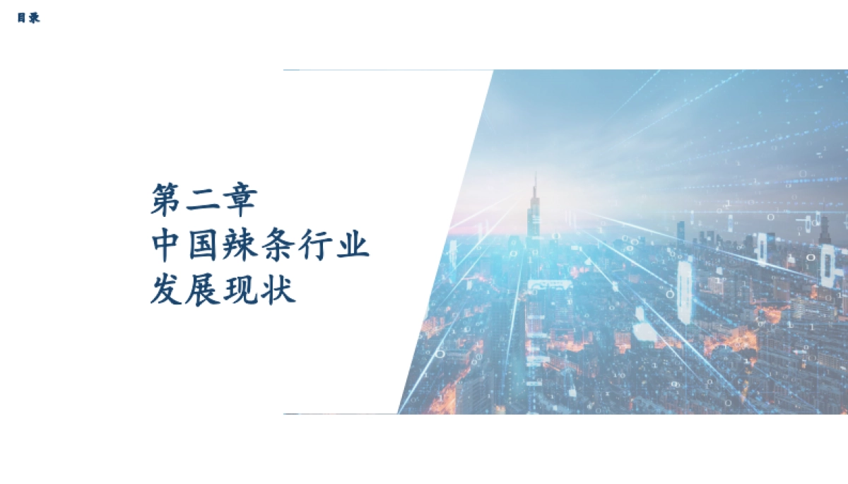 2025年辣条行业发展趋势报告_第6页