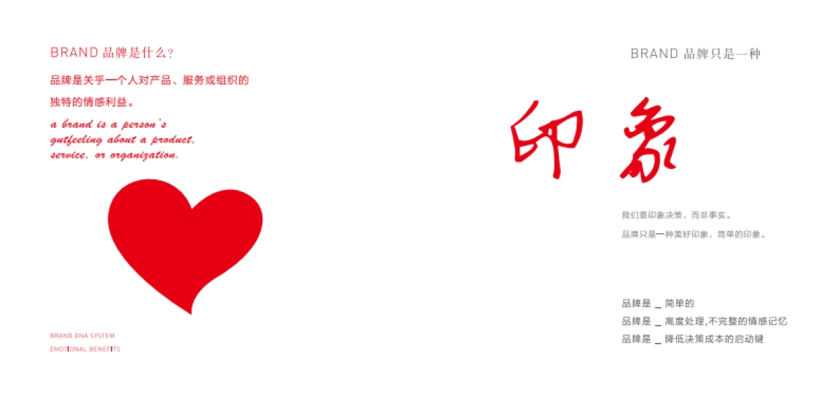 2025品牌基因序列：让杰出梦想成为品牌_第6页