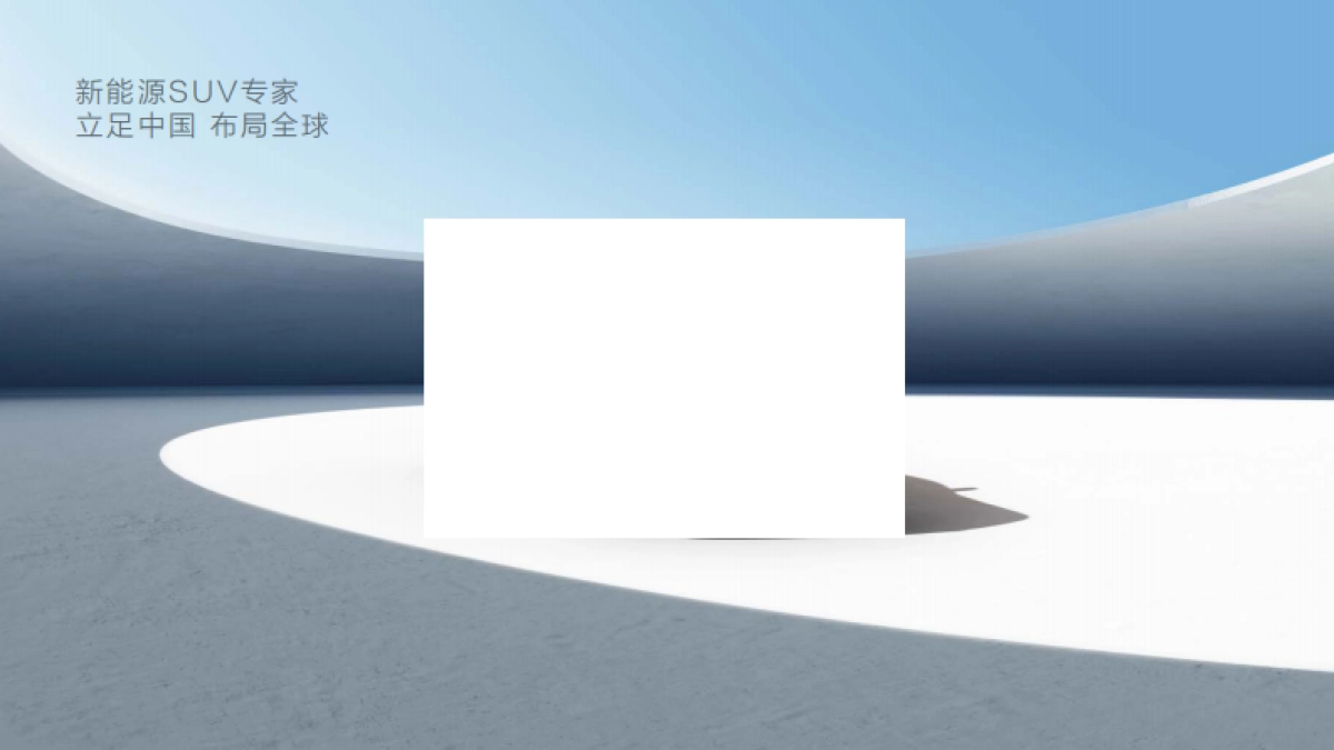 HAVAL哈佛汽车品牌手册_第6页