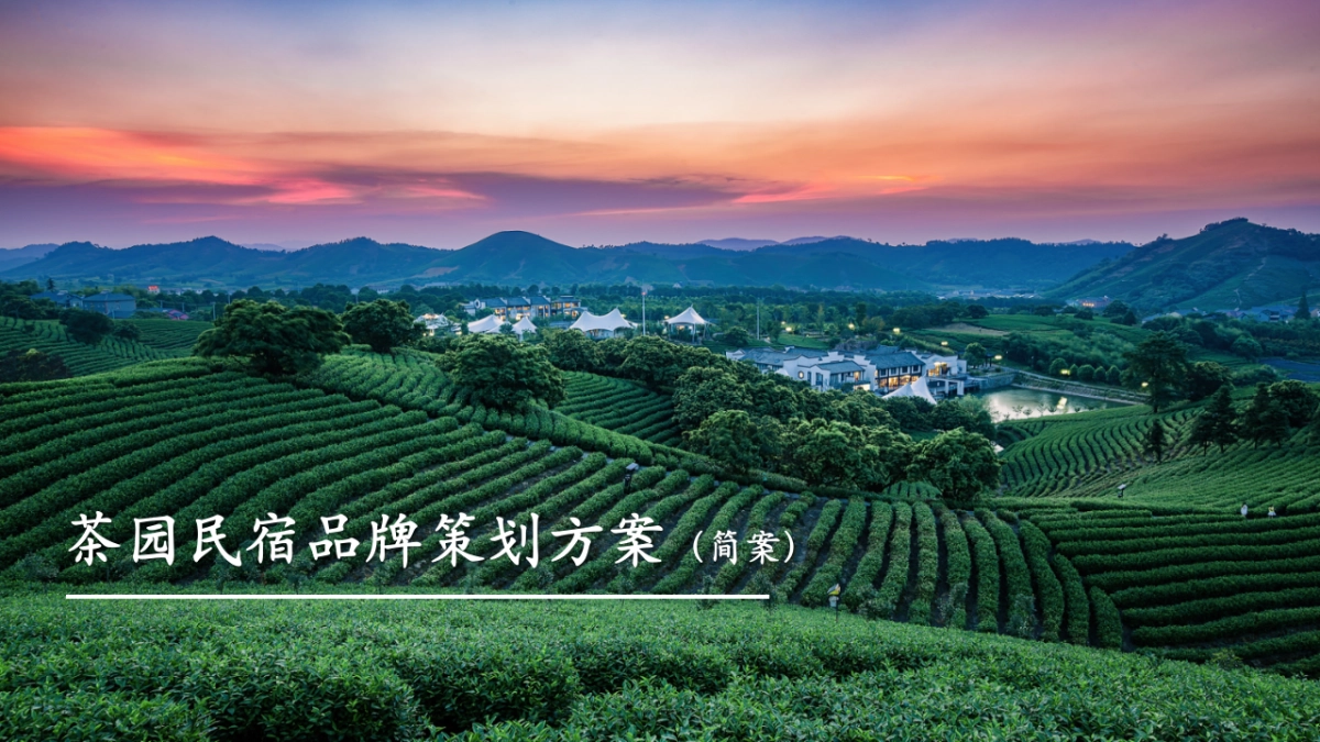 茶园民宿文旅整合营销方案_第1页
