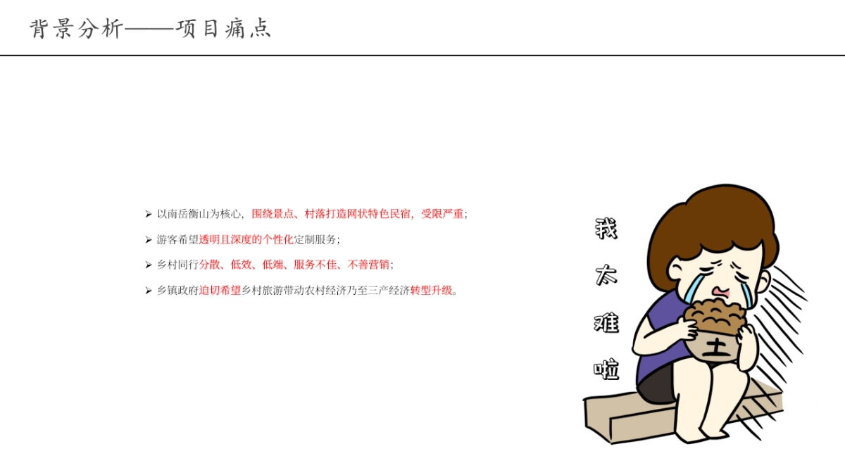 茶园民宿文旅整合营销方案_第10页