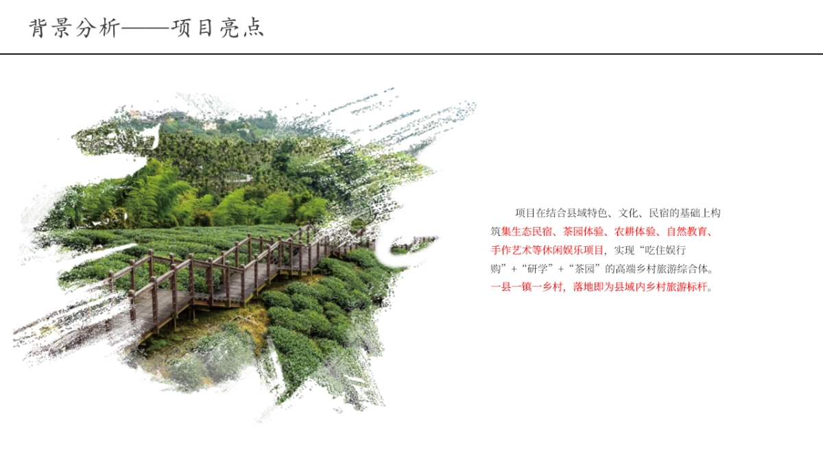 茶园民宿文旅整合营销方案_第9页