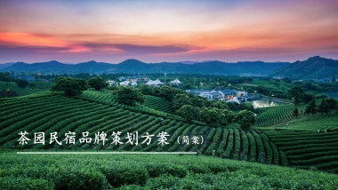 茶园民宿文旅整合营销方案