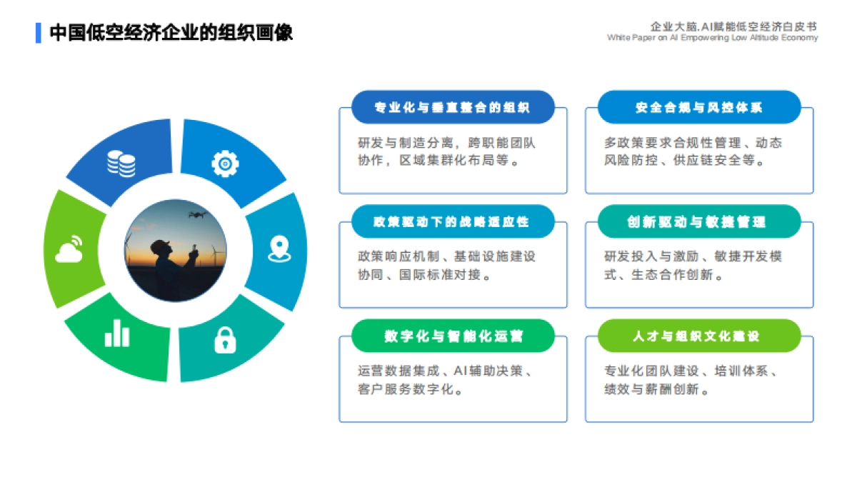 2025年企业大脑·AI赋能低空经济白皮书_第10页