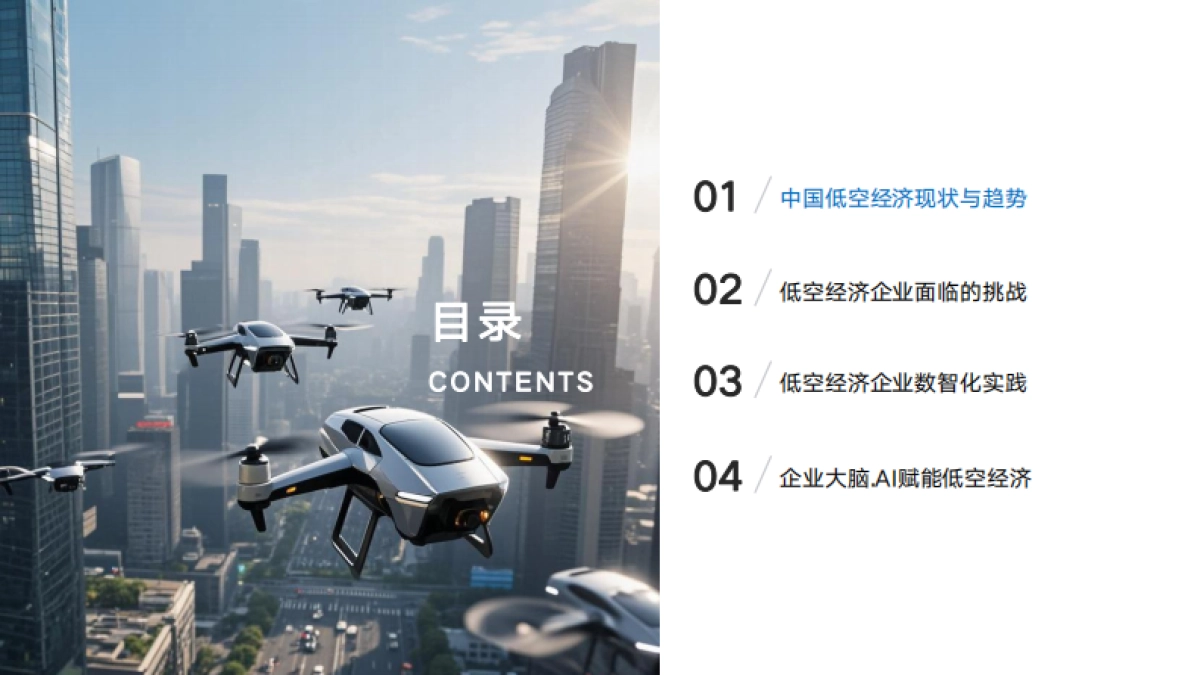 2025年企业大脑·AI赋能低空经济白皮书_第2页
