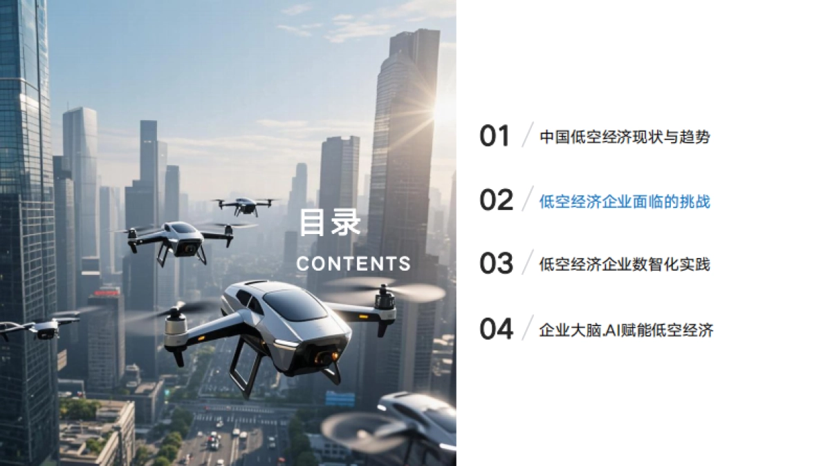 2025年企业大脑·AI赋能低空经济白皮书_第7页