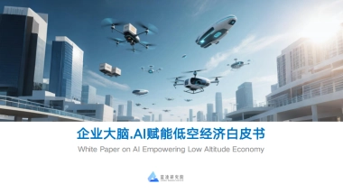 2025年企业大脑·AI赋能低空经济白皮书