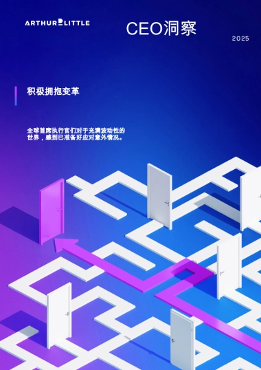 2025全球CEO洞察报告