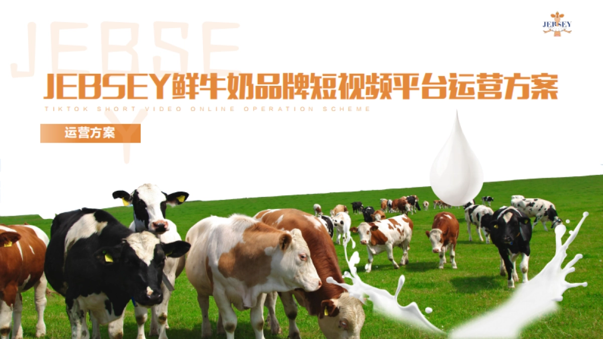 jebsey鲜牛奶品牌抖音短视频运营规划案_第1页