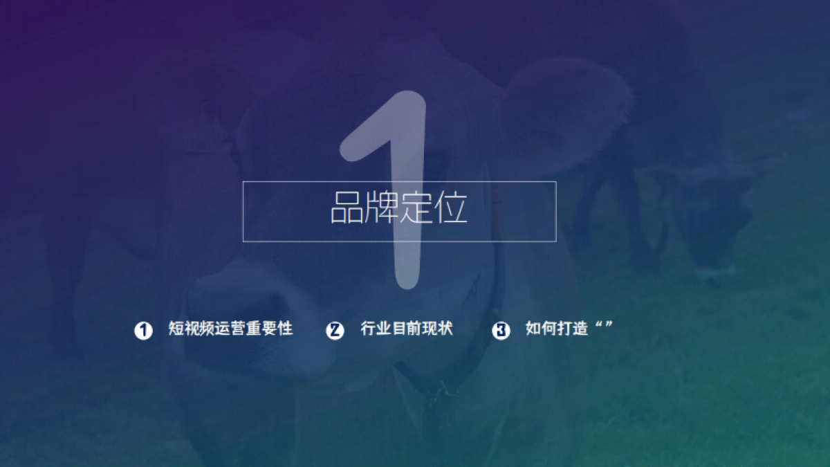 jebsey鲜牛奶品牌抖音短视频运营规划案_第3页