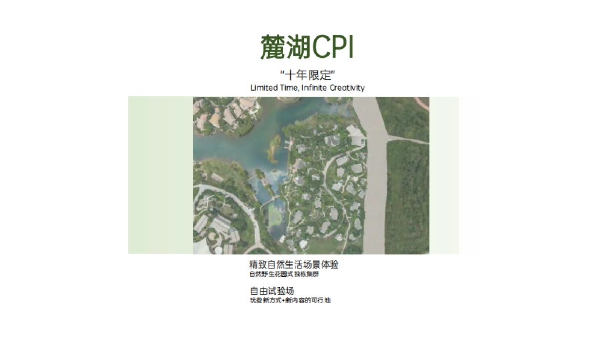 成都麓湖CPI BRANDBOOK_第3页