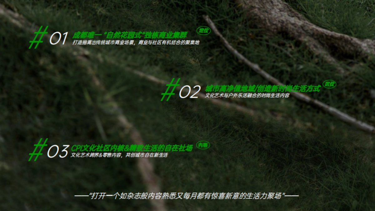 成都麓湖CPI BRANDBOOK_第7页