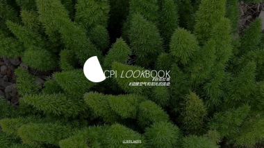 成都麓湖CPI BRANDBOOK