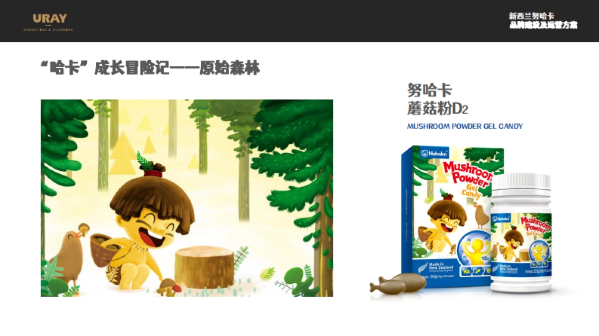 新西兰努哈卡儿童营养品品牌建设方案_第10页
