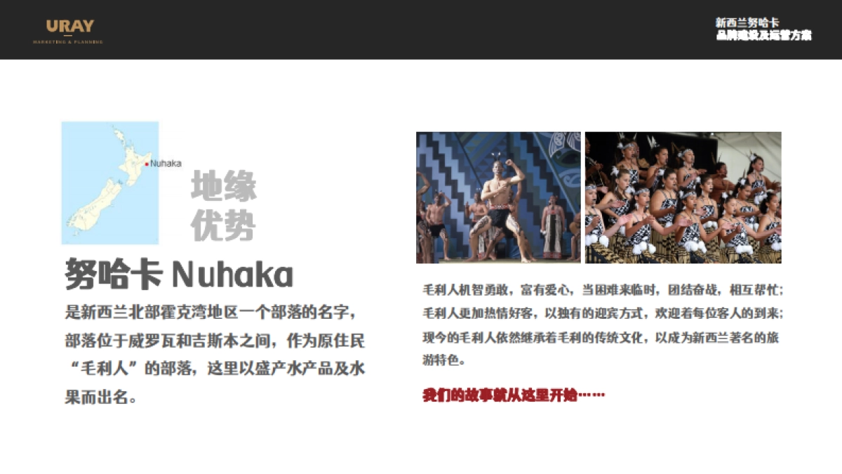新西兰努哈卡儿童营养品品牌建设方案_第2页